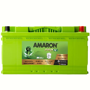 Amaron- FL-0040B20L
